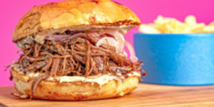 Pulled Pork Sandwiches la Multicooker Foodi OP500